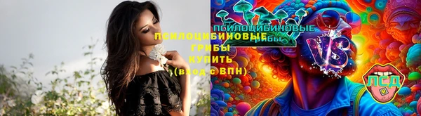 а пвп мука Армянск